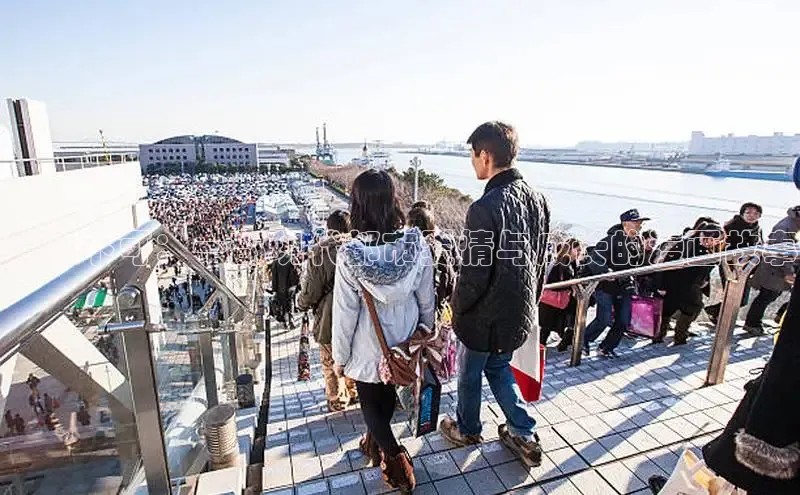 樱花动漫网页版官网入口下载